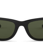 Wayfarer Square Sunglasses